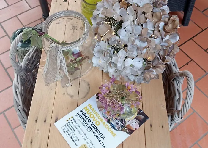 Luna Alojamento de Acomodação e Pequeno-almoço *