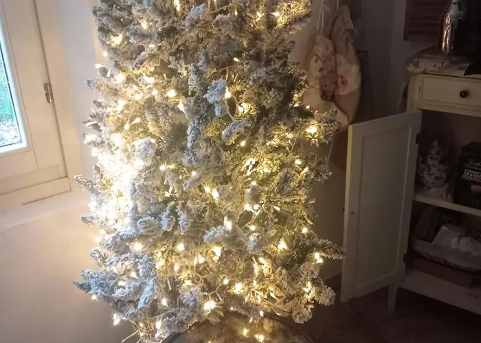 Luna Castelvetro di Modena