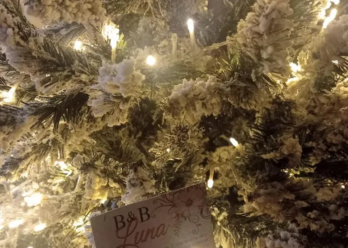 Luna Castelvetro di Modena